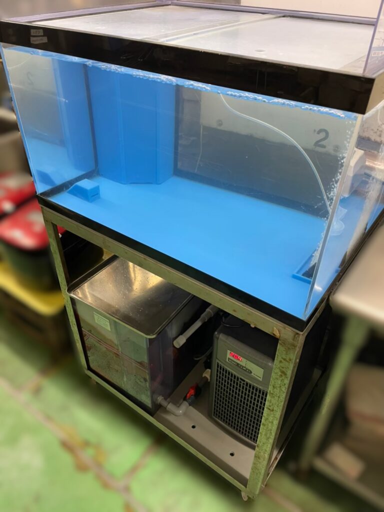横浜　ホテル厨房　活魚水槽　メンテナンス